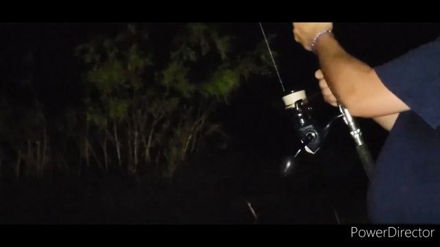 7 foot plus alligator gar that got away смотреть онлайн