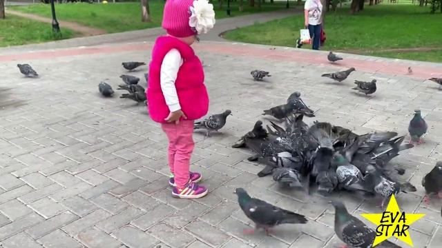 Ева катается в парке с любимой куклой на автомобиле. Кормит Голубей. смотреть онлайн