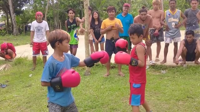 Boxing sa PROBINSYA смотреть онлайн