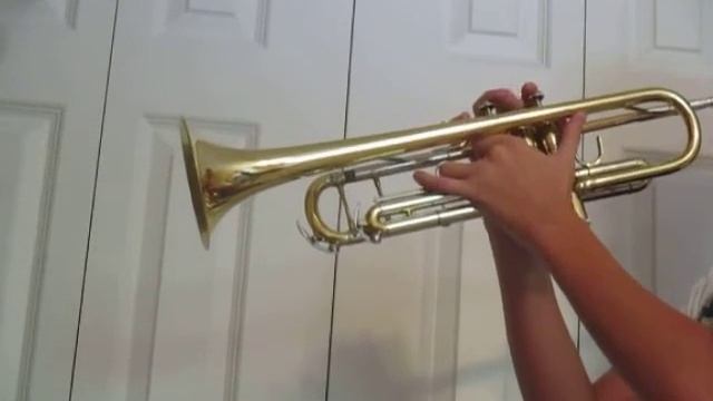 Coffin Dance on the Trumpet!!!!!! смотреть онлайн