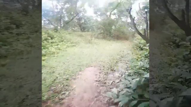 XTERRA PHUKET Off Road Triathlon + Duathlon +Trail Run 2017 смотреть онлайн