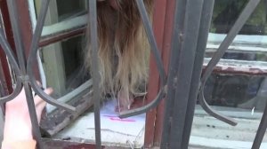 Психушка общение с пациентами