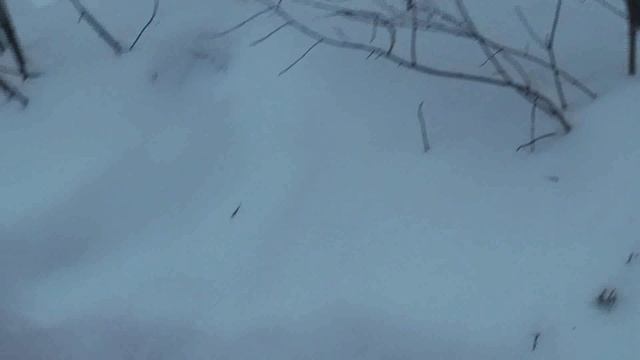 легкий морозец смотреть онлайн