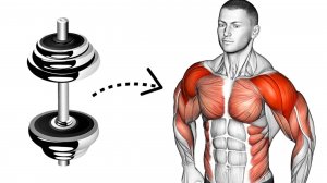 Тренировка всего тела только с Гантелям