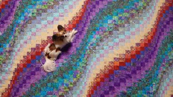 Лоскутные одеяла Bargello в интерьере