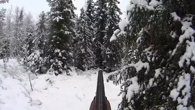 охота на лося смотреть онлайн