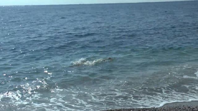 Вело походы. Клуб туристов РОДИНА смотреть онлайн