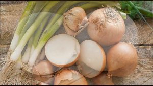 Лук, почищенный и оставленный на хранение