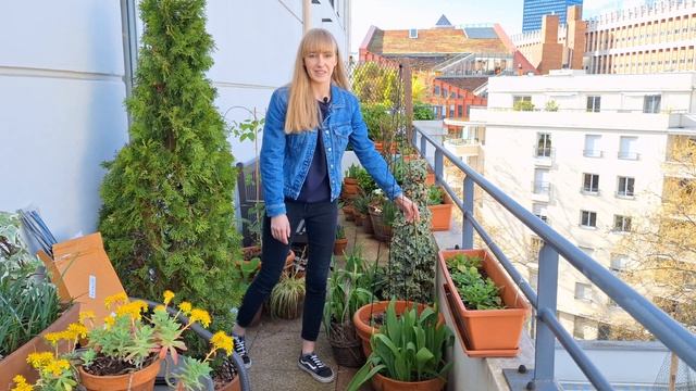 New Supports For My Potted Climbing Plants смотреть онлайн