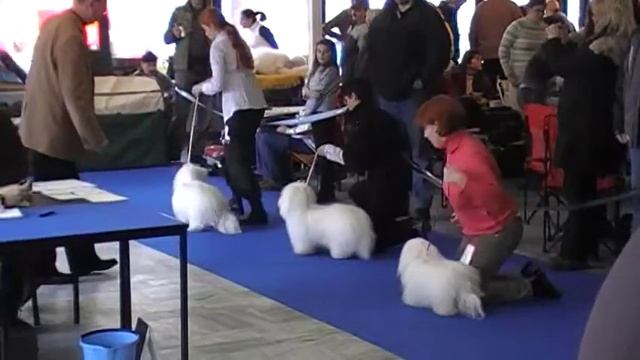 CAC Olomouc, BOB competition смотреть онлайн