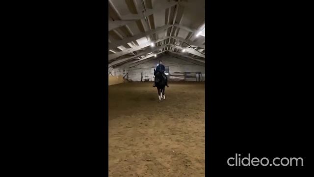 Выездка ППЮ + конкур 100. Арт.: 0103 смотреть онлайн