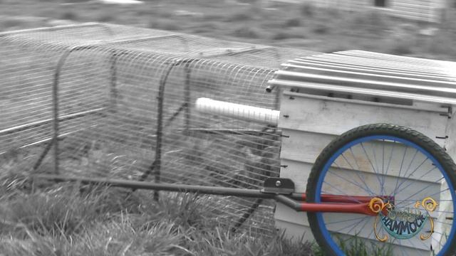 Chicken Tractor смотреть онлайн