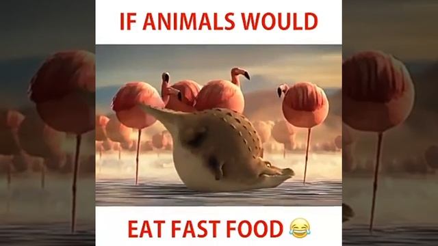 Очень толстие звери смотреть онлайн