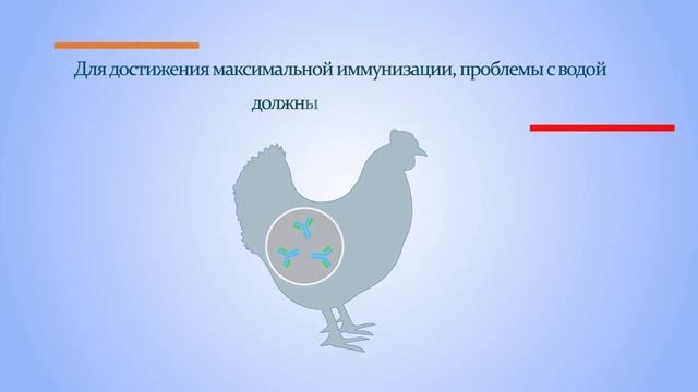 Презентация Вакци Блю
