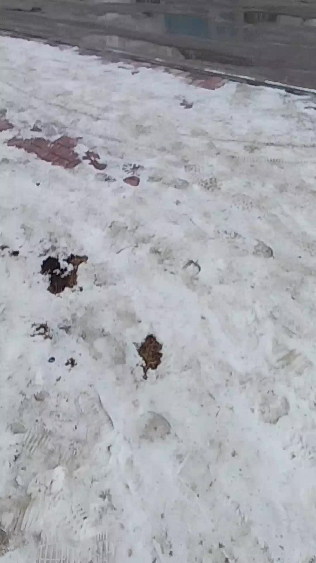 прогулка на улице очень холодно смотреть онлайн