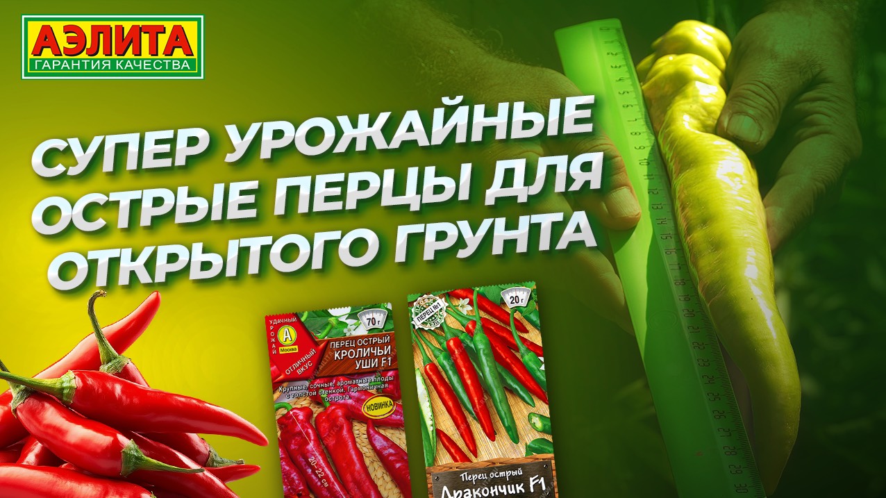 перец острый Кроличьи уши Дракончик - смотреть онлайн