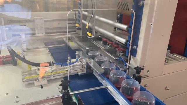 Автоматическая групповая упаковка PEF 6545R F2 1 смотреть онлайн