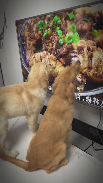 Прекрасная картина смотреть онлайн