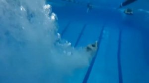 Учимся плавать Техника старта с тумбочки в плавании  Start Swimming  How to start.