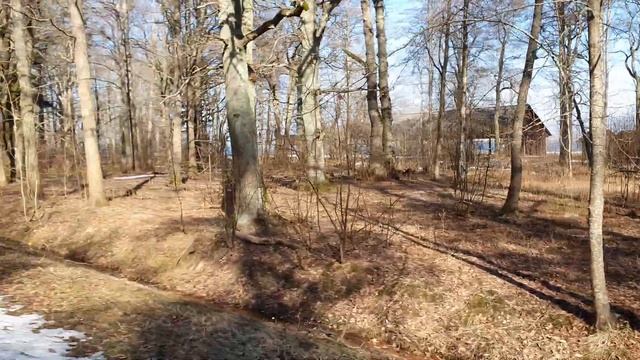 Прогулка на лошади по музею хуторов смотреть онлайн