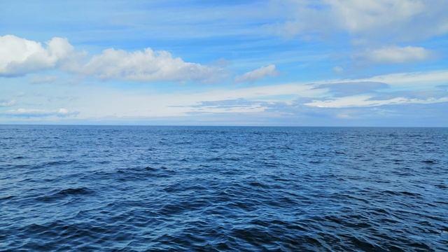 Териберка. 5 часть. Путешествие на автомобиле за полярный круг 2020 год