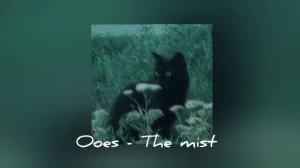 1# playlist - ooes