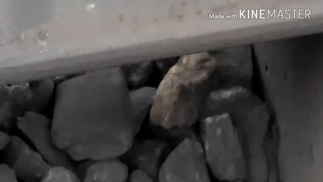 Кладём Машу под рельсы...|55 подписчиков| смотреть онлайн