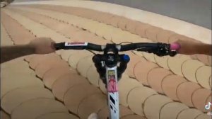 Мишаня огородник в Барселоне