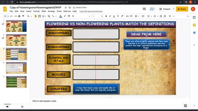 Flowering vs Non Flowering Plants:Drag & Drop Worksheet:Google Slides + PPT смотреть онлайн