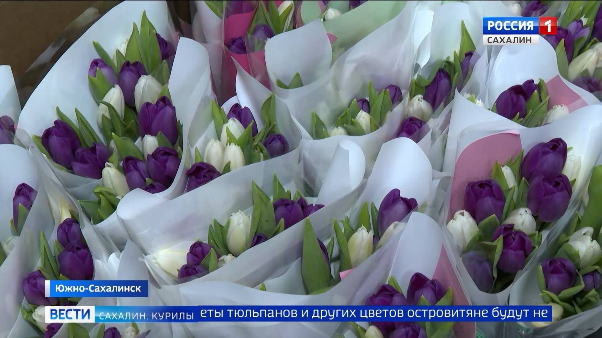 "Вести. Сахалин. Курилы". 7 марта 2025 года смотреть онлайн