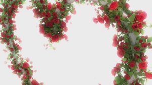 Поздравлениеc 8 марта 

 . Футаж.