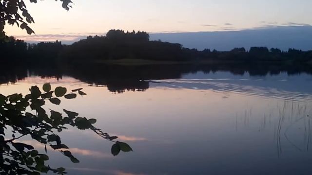 Бобр плывет смотреть онлайн