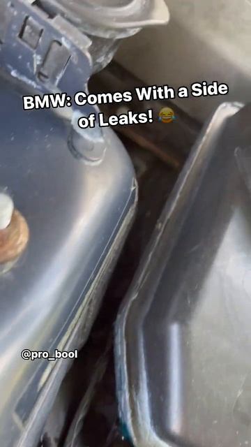 BMW: Comes With a Side of Leaks! 😂 смотреть онлайн