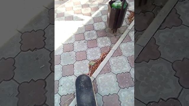 Учимся котаться на скейте и один трюк смотреть онлайн