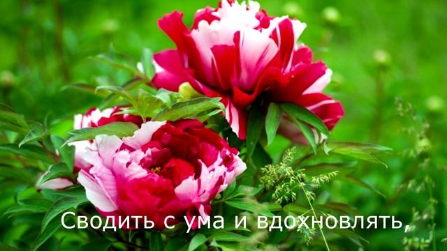 Все цветы мира к вашим ногам! смотреть онлайн