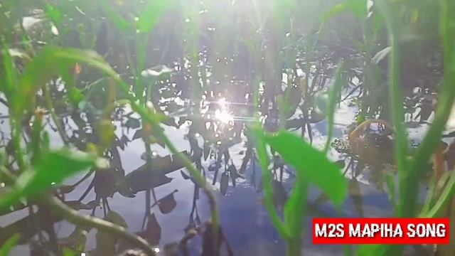 Lagu pop meepago terbaru 2022 (( M2S MAPIHA SONG )) смотреть онлайн