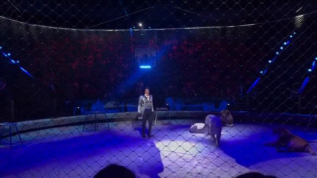 Это было круто Большой Цирк на Вернадского (6) смотреть онлайн