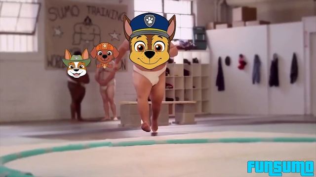 I Want Paw Patrol Song - Sumo Doritos AD Comercial Meme смотреть онлайн
