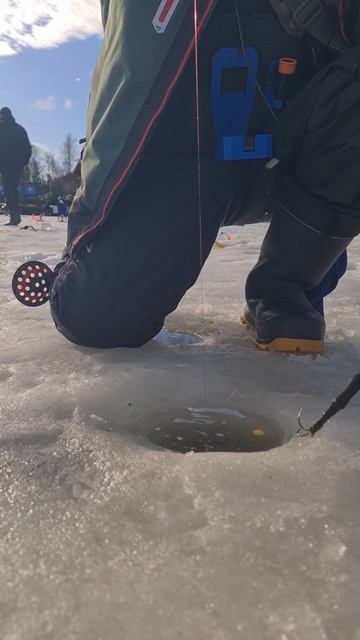 Поимка на малька смотреть онлайн