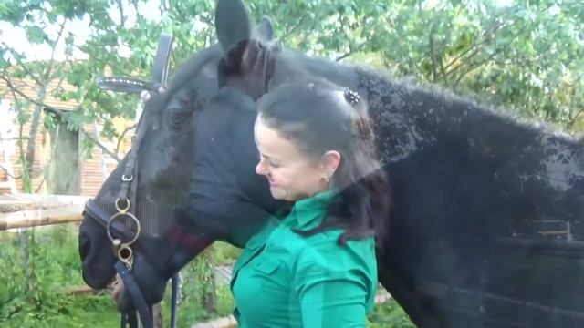 Тихвинская конюшня смотреть онлайн