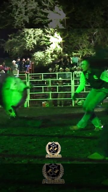 Picasso de Rancho el Rosario vs Intrépido de Jalisco смотреть онлайн