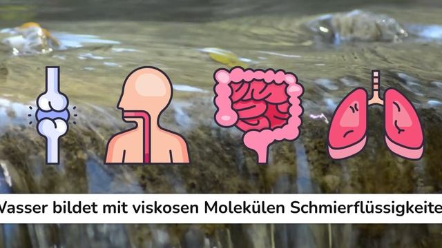 Wasser: Die Perfekte Menge Am Tag (kennst Du Sie?)