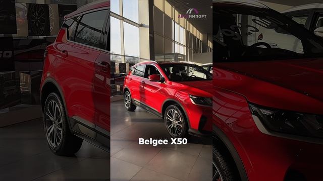 ЧТО ТАКОЕ BELGEE?