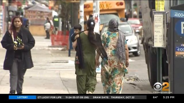 Street In Queens Co-Named 'Punjab Avenue' To Celebrate South Asian Residents смотреть онлайн