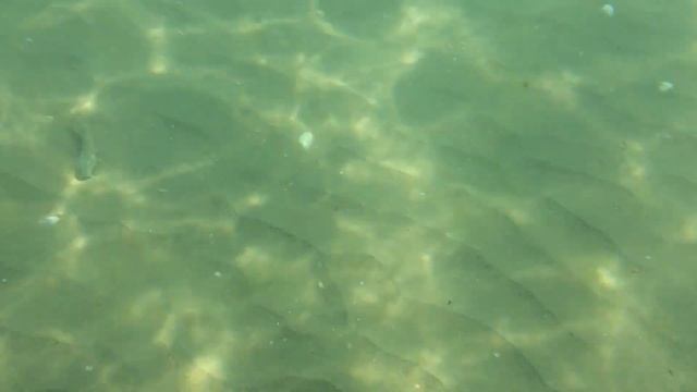 Отдых отель Ривьера 2016 год Анапа