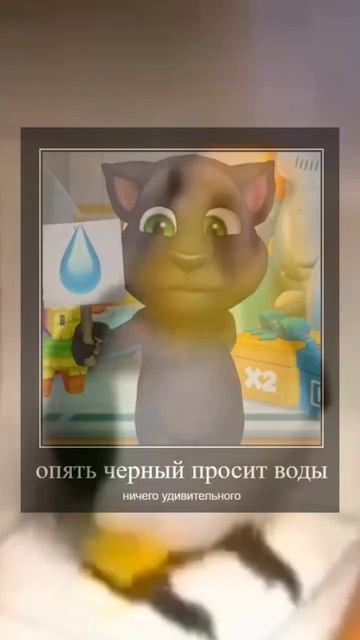 Кот том #мем #мемы #shorts смотреть онлайн