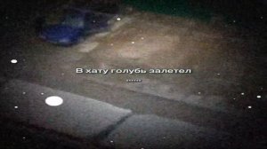 в хату голубь залетел