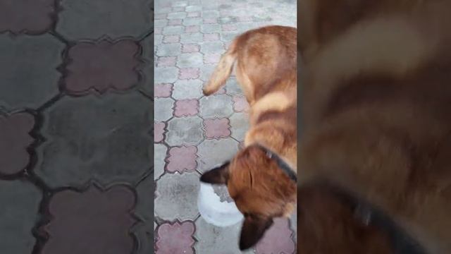 подготовка к зимней олимпиаде по керлингу смотреть онлайн