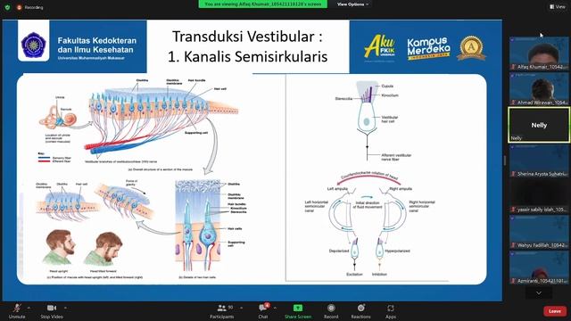 Fisiologi dasar organ penglihatan, keseimbangan, pendengaran, penghidu смотреть онлайн