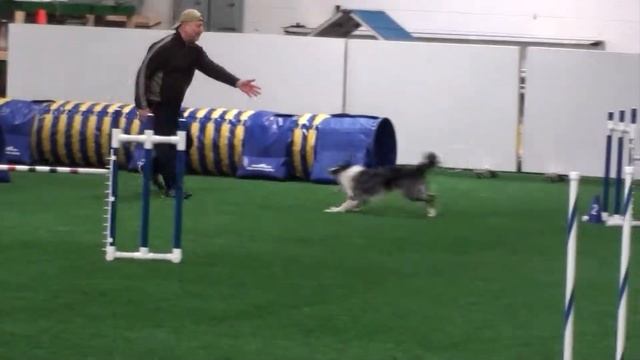 Jeff Tonk KK UKI 3 3 19 Masters Agility смотреть онлайн
